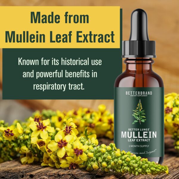 Mullein Drops for Lungs, Mullein Leaf Extract with Chlorophyll,Mullein Leaf Extract for Lung Cleanse and Respiratory Support - 图片 3
