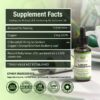 Liquid Chlorophyll Drops for Blood Health & Antioxidant Support | Alcohol-Free, Gluten-Free Supplement for Immune Boost, Skin Health & Body Odor Control – 2 fl oz (59mL) - 图片 3