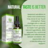 Liquid Chlorophyll Drops for Blood Health & Antioxidant Support | Alcohol-Free, Gluten-Free Supplement for Immune Boost, Skin Health & Body Odor Control – 2 fl oz (59mL) - 图片 6