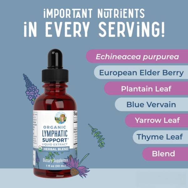 Lymphatic Support Herbal Blend Liquid Drops - USDA Organic Lymphatic Cleanse - Echinacea & Elderberry - Blue Vervain - Vegan - 30 Servings - 图片 3