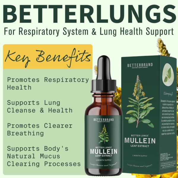 Mullein Drops for Lungs, Mullein Leaf Extract with Chlorophyll,Mullein Leaf Extract for Lung Cleanse and Respiratory Support - 图片 4