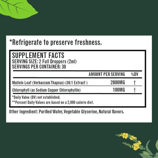 Mullein Drops for Lungs, Mullein Leaf Extract with Chlorophyll,Mullein Leaf Extract for Lung Cleanse and Respiratory Support - 图片 6