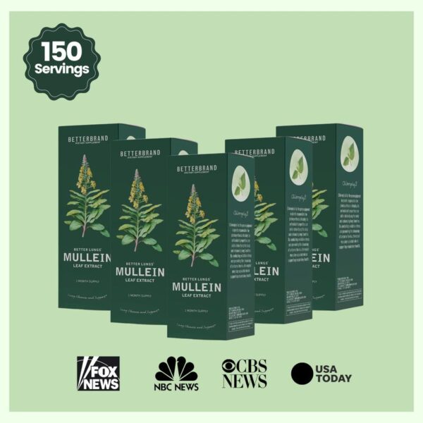 Mullein Drops for Lungs, Mullein Leaf Extract with Chlorophyll,Mullein Leaf Extract for Lung Cleanse and Respiratory Support - 图片 9